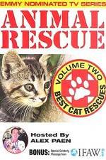 Watch Animal Rescue, Volume 2: Best Cat Rescues Zoechip