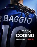 Watch Baggio: The Divine Ponytail Zoechip