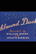 Watch Southbound Duckling Zoechip