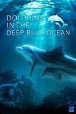Watch Dolphins in the Deep Blue Ocean Zoechip
