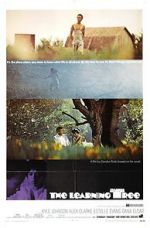 Watch The Learning Tree Zoechip