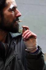 Watch Into the Night Zoechip