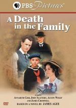 Watch A Death in the Family Zoechip