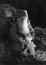 Watch Tomten Zoechip