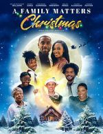Watch A Family Matters Christmas Zoechip