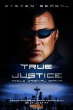 Watch True Justice: Brotherhood Zoechip