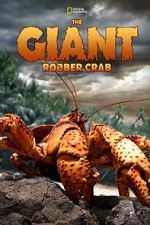 Watch The Giant Robber Crab Zoechip