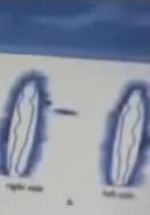 Watch Quantum Communication Zoechip