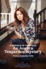 Watch A Bundle of Trouble: An Aurora Teagarden Mystery Zoechip
