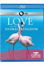 Watch Nature: Love in the Animal Kingdom Zoechip