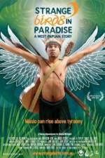 Watch Strange Birds in Paradise A West Papuan Story Zoechip