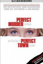 Watch Perfect Murder Perfect Town JonBenet and the City of Boulder Zoechip