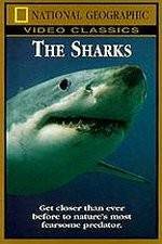 Watch National Geographic The Sharks Zoechip