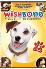 Watch Wishbone Zoechip