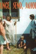 Watch Slunce, seno, jahody Zoechip