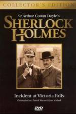 Watch Incident at Victoria Falls Zoechip