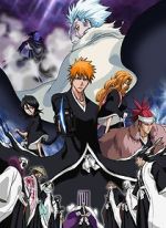 Watch Bleach the Movie 2: The Diamond Dust Rebellion Zoechip