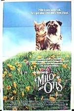Watch Milo and Otis Zoechip