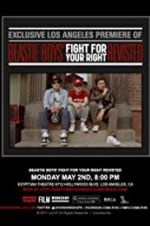 Watch Beastie Boys: Fight for Your Right Revisited Zoechip