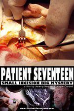 Watch Patient Seventeen Zoechip