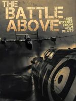 Watch The Battle Above: True Stories From WWII Pilots Zoechip