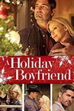 Watch A Holiday Boyfriend Zoechip