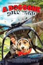 Watch A Doggone Hollywood Zoechip