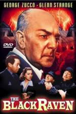 Watch The Black Raven Zoechip