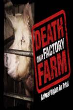 Watch Death on a Factory Farm Zoechip