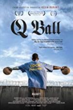 Watch Q Ball Zoechip