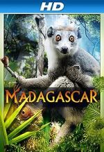 Watch Madagascar 3D Zoechip