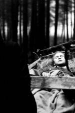 Watch Kocár do Vídne Zoechip