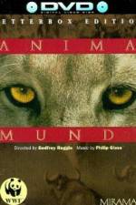 Watch Anima Mundi Zoechip