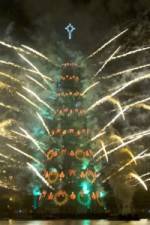 Watch Extreme Christmas Trees Zoechip