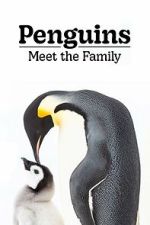 Watch Penguins: Meet the Family Zoechip
