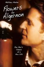 Watch Flowers for Algernon Zoechip