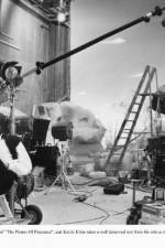 Watch The Pirates of Penzance Zoechip