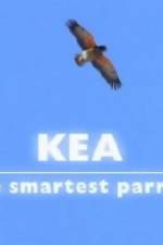 Watch Kea - The Smartest Parrot Zoechip