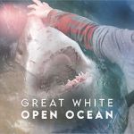 Watch Great White Open Ocean Zoechip