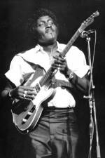 Watch Albert Collins in Concert Zoechip
