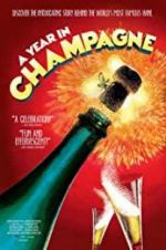 Watch A Year in Champagne Zoechip