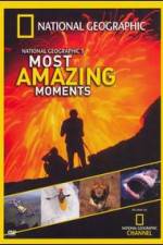 Watch National Geographics Most Amazing Moments Zoechip