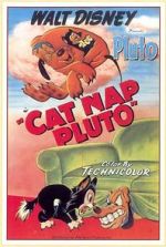 Watch Cat Nap Pluto Zoechip