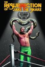 Watch The Resurrection of Jake The Snake Roberts Zoechip