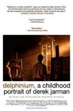 Watch Delphinium: A Childhood Portrait of Derek Jarman Zoechip