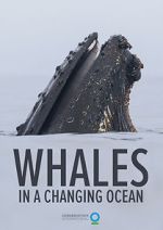 Watch Whales in a Changing Ocean (Short 2021) Zoechip