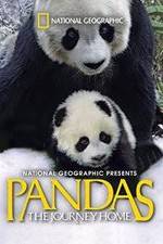 Watch Pandas: The Journey Home Zoechip