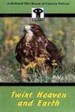 Watch Twixt Heaven and Earth Zoechip
