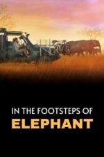 Watch In the Footsteps of Elephant Zoechip