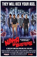 Watch Ninja Busters Zoechip